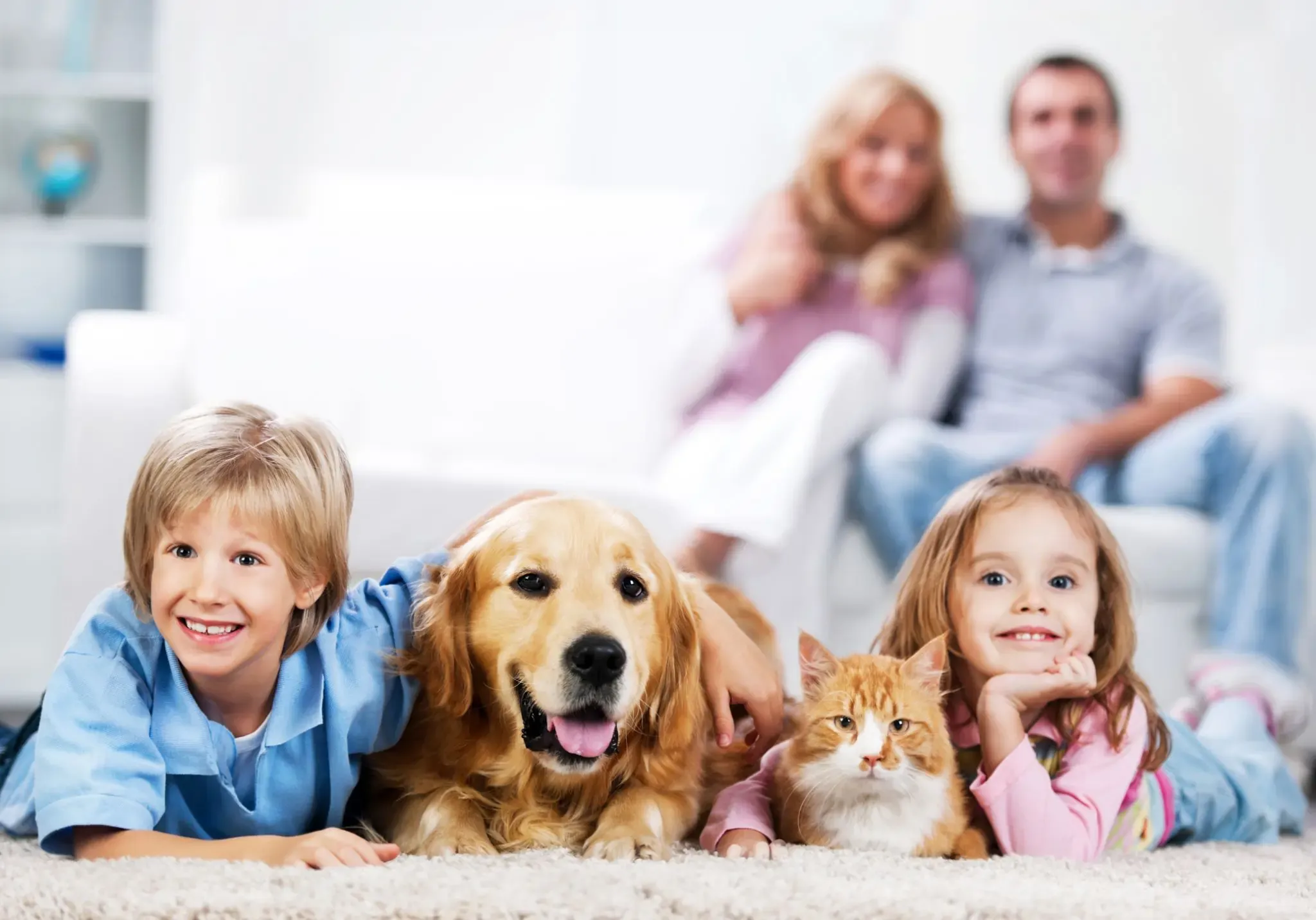 4-importancia-de-asegurar-a-tu-mascota.webp